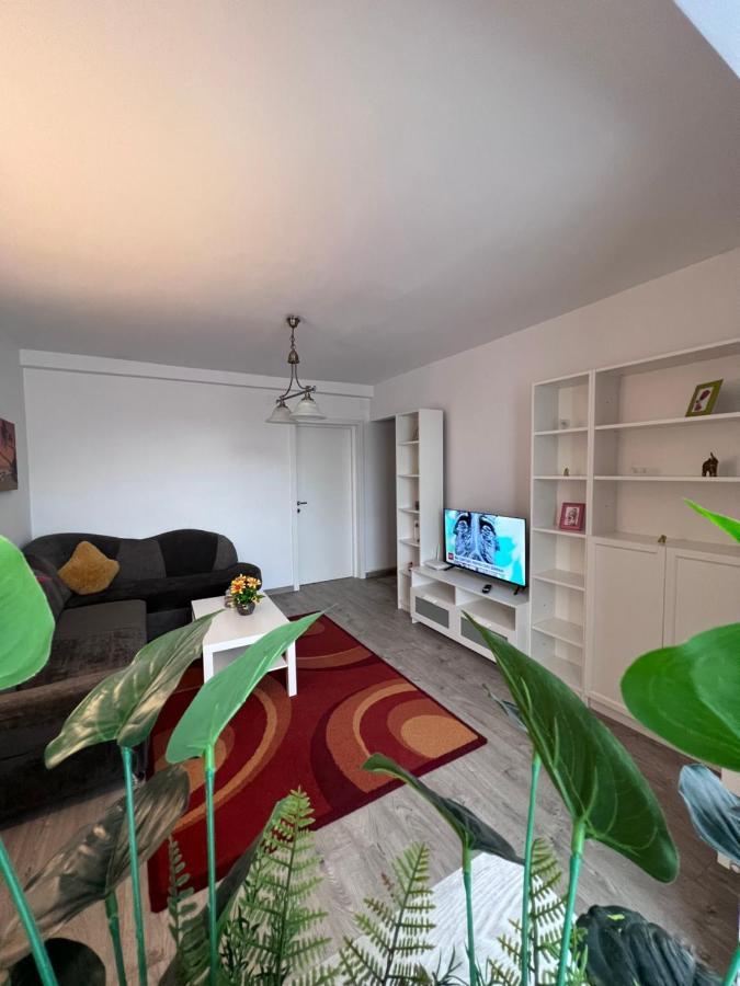 House51 Daire Braşov Dış mekan fotoğraf
