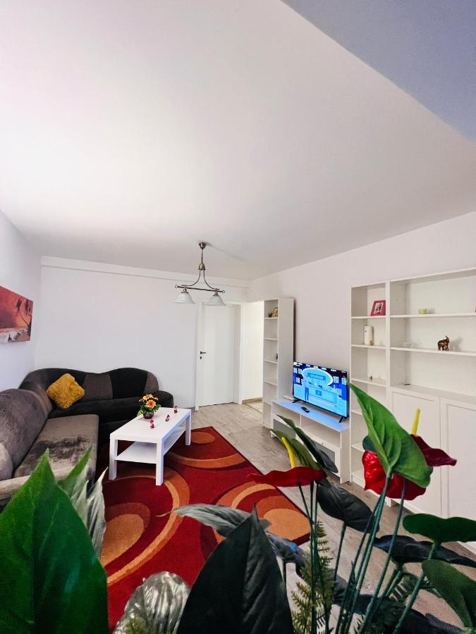 House51 Daire Braşov Dış mekan fotoğraf